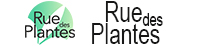 21-500-Ruedesplantes 